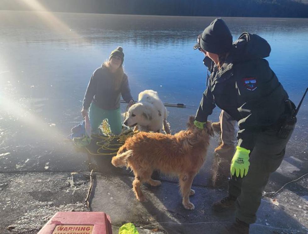 Dog Alerts Rescuers to Another Dog that Fell Through Ice in Maine