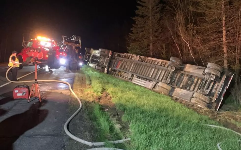 Tractor-Trailer Crashed with 15 Million Bees on I-95 in Maine
