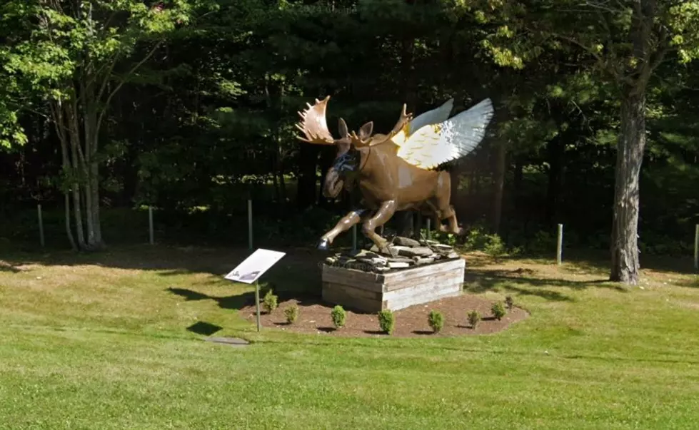 The Flying Moose Sculpture is a Sight to See in Maine