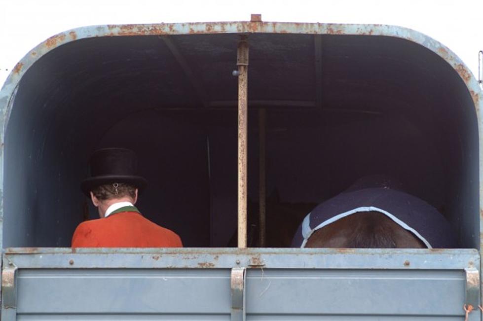 Canadian Man Fined for Transporting 54 People in a Horse Trailer Bound for a Rodeo