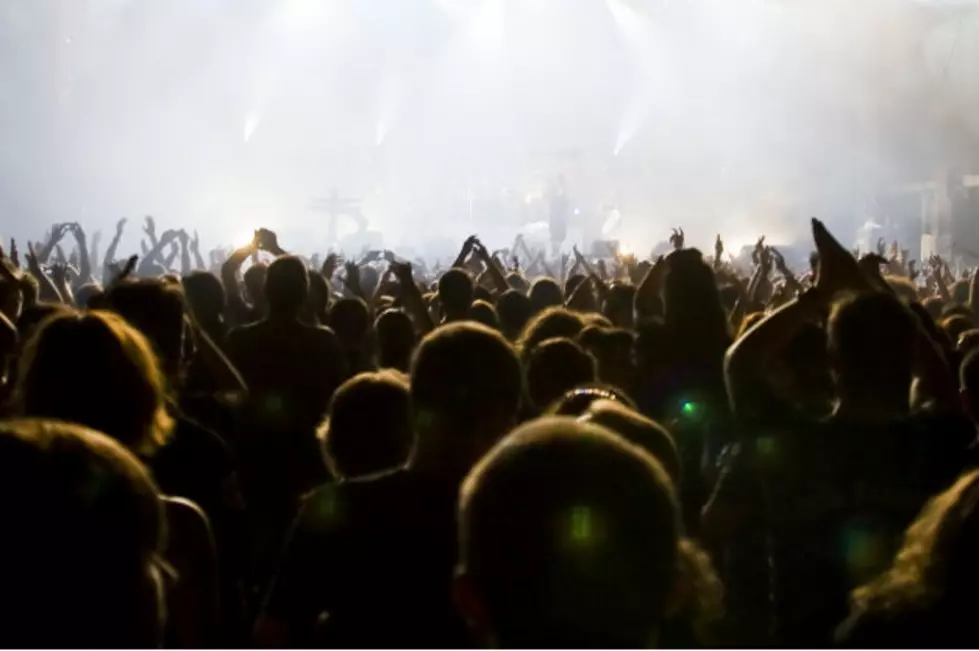 I Have to See Them In Concert Before I Die &#8211; Or They Do [VIDEO]