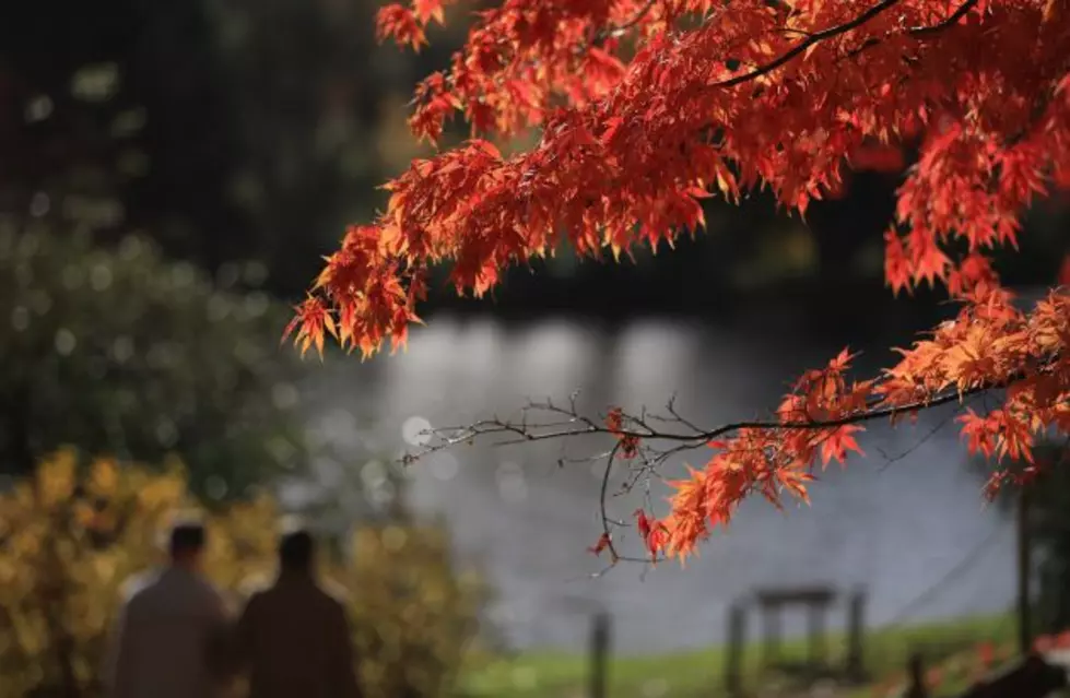 2015 Fall Foliage Paddle on Grand Lake Stream