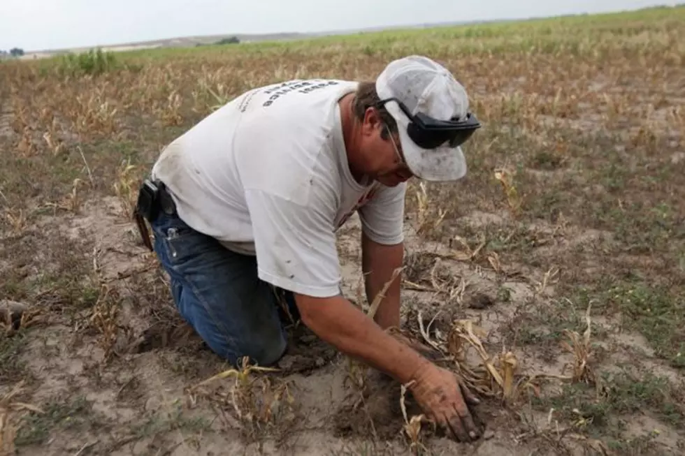 Farms Hurt by Drought Eligible for Federal Help