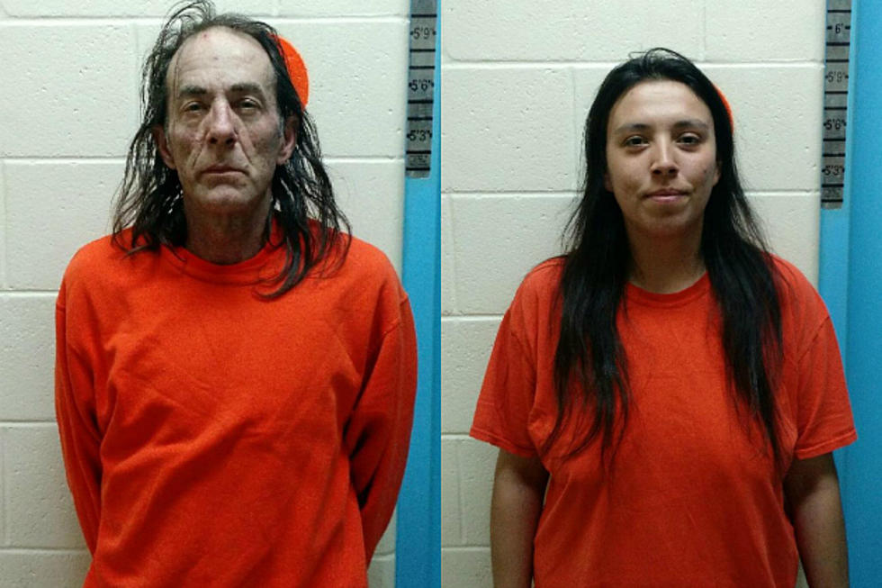 Man and Daughter Arrested in Perham Theft