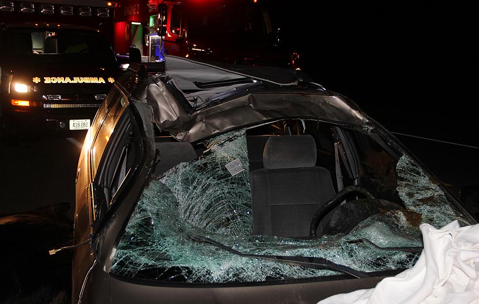 Van Buren Woman Injured in Car-Moose Collision