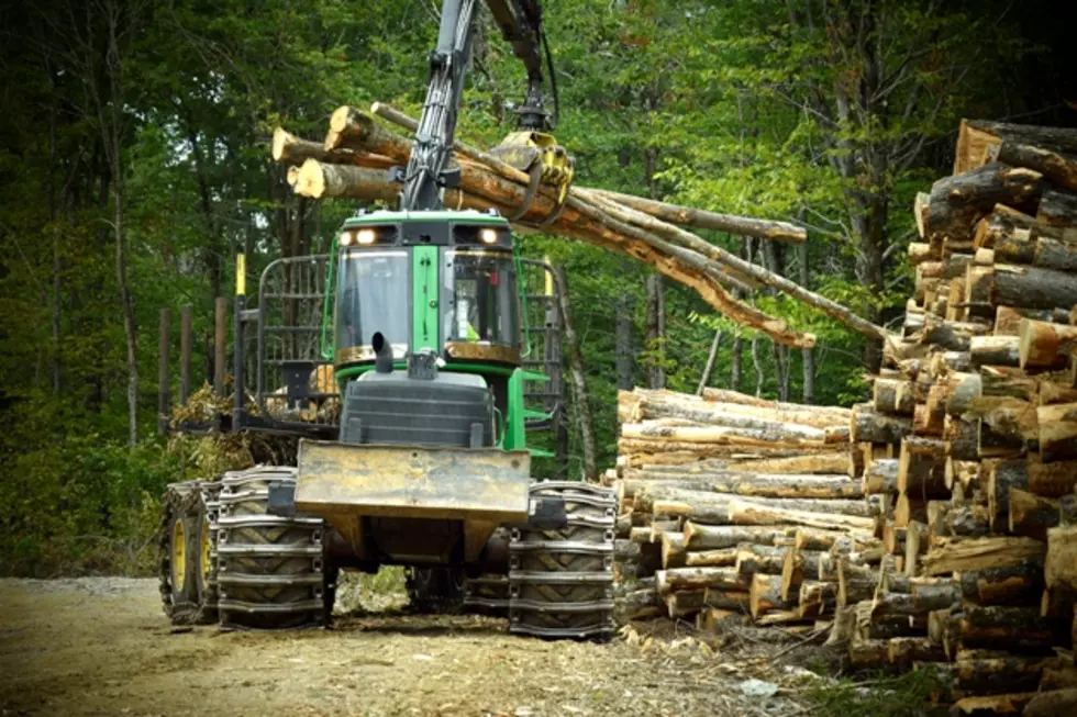 Maine’s First Mechanized Logging Program Underway