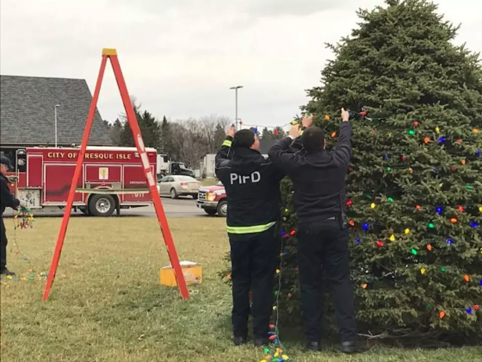 Lights of Life Project Underway