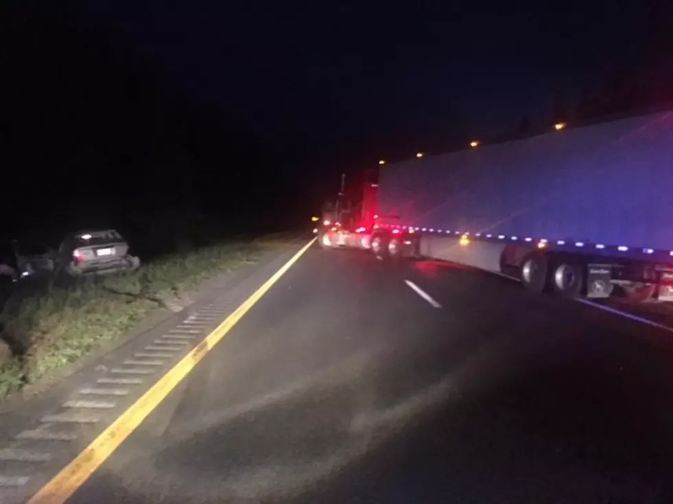 Sherman Man Hits Moose on I-95