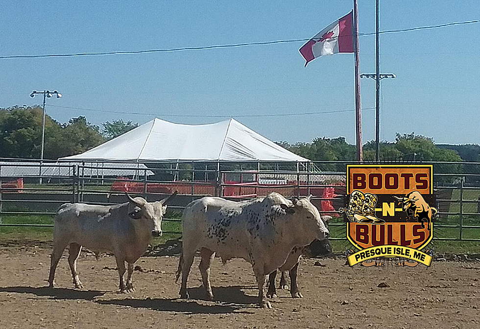 Boots N’ Bulls: Bull Riding Video from 2018