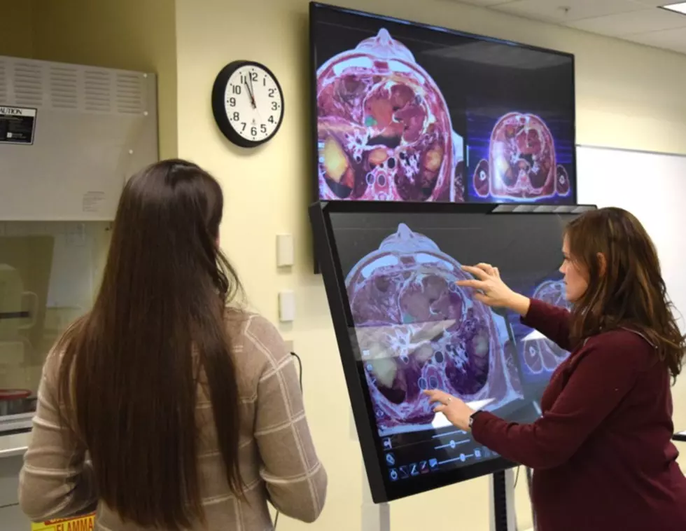 3-D Anatomy Table to Enhance Scientific Learning at NMCC