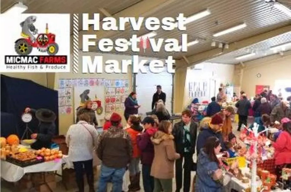 Second Annual Harvest Festival Market Coming