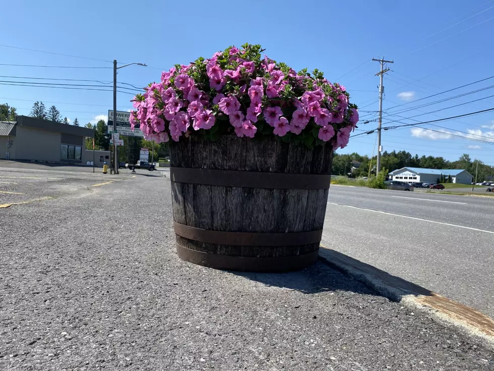 Who Steals A Flower Basket? Honestly. We See You In Presque Isle