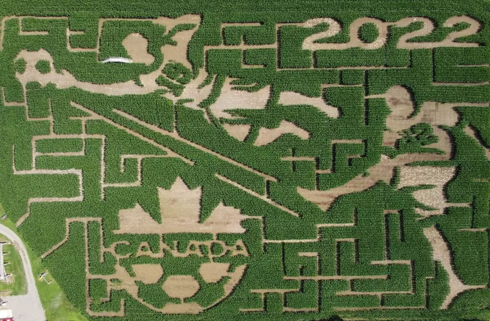 Get Your Kicks At The Hunter Brothers Corn Maze in New Brunswick