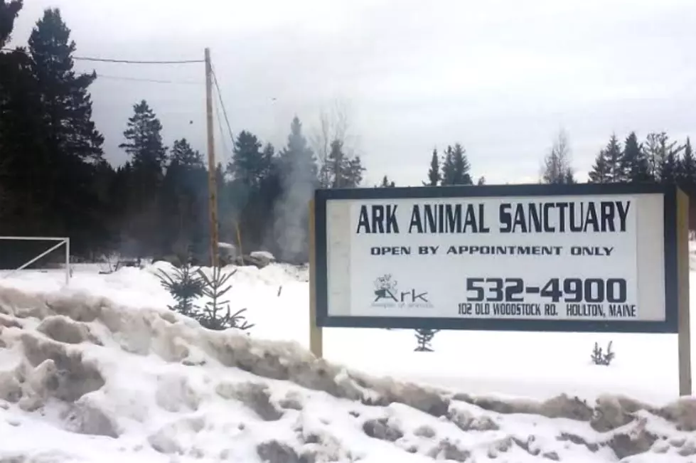 Ark Animal Sanctuary to Receive Emergency Grant After Fire