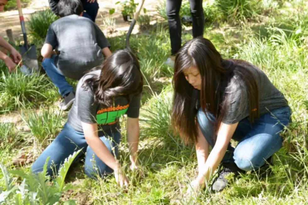 Earth Day 2014