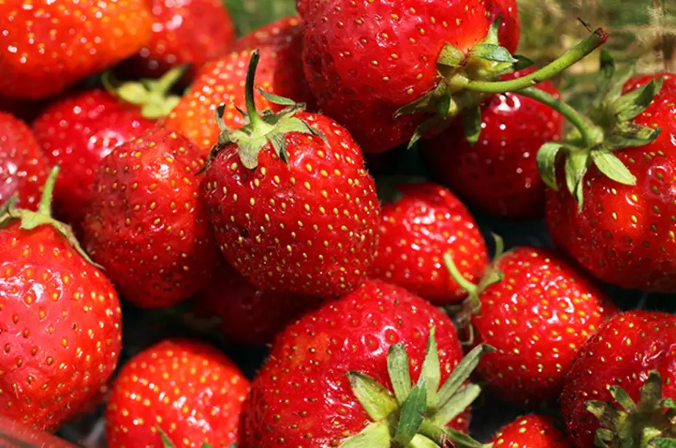 It&#8217;s Almost Strawberry Shortcake Season in Presque Isle! Are You Ready?