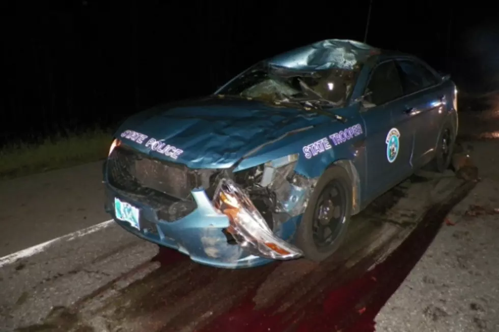 State Trooper Injured in Collision With Moose in Northern Aroostook [PHOTOS]
