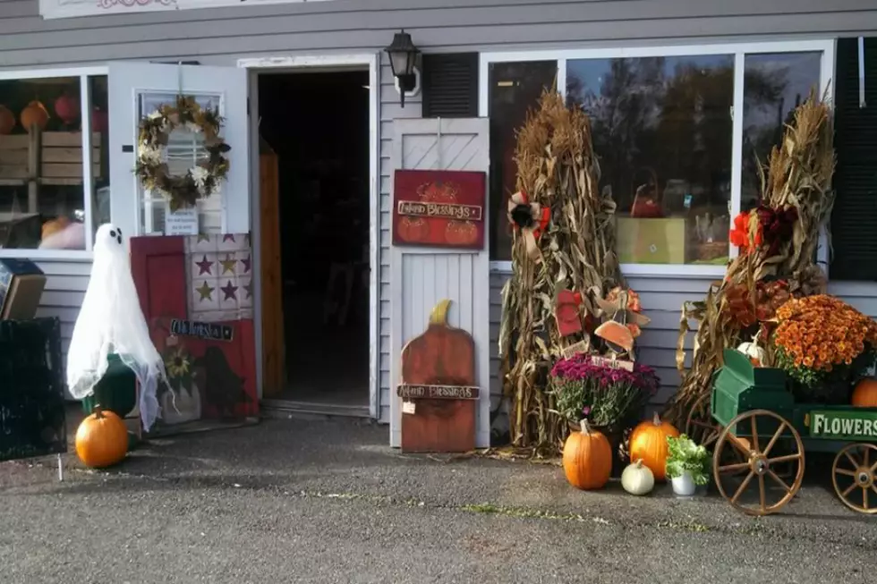 Penobscot County Flower Shop Gutted By Fire, Owner Thanks Customers for Years of Patronage