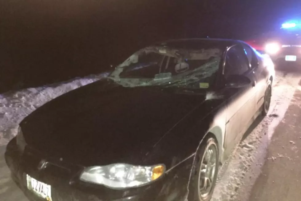 Driver Injured When Car Strikes Moose in Southern Aroostook