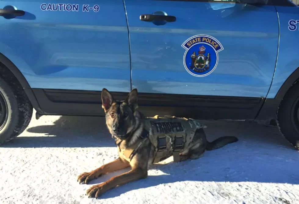 Maine State Police Troop F Weekly Report (Nov. 6 – 12)
