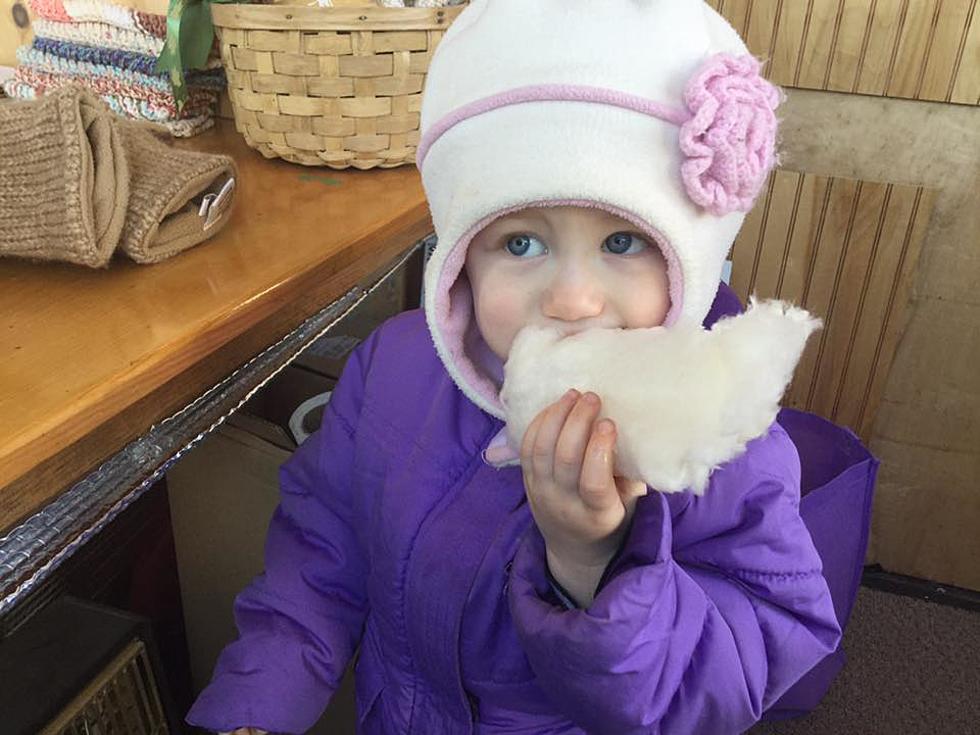 Six Northern Maine Sugarhouses Participating in Maine Maple Sunday Festivities