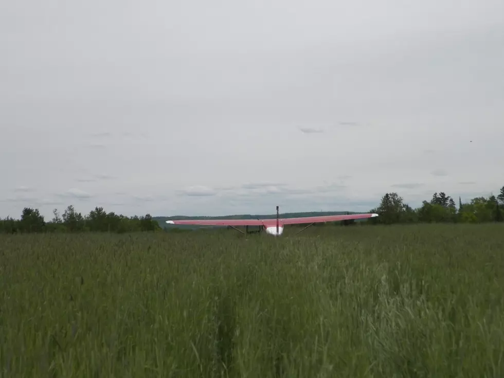 Local Plane Ditches into a Grain Field in Central Aroostook