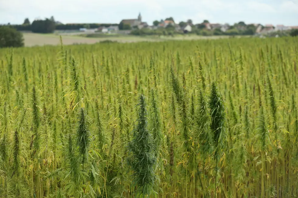 New Hemp Project In The County?
