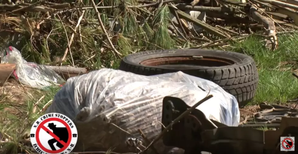 Crime Stoppers – Disposing Garbage And Other Debris On Crown Lands [VIDEO]