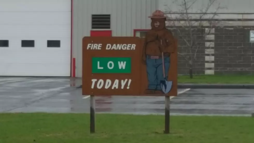 The History Of Smokey The Bear Who Says Fire Threats Are Low In The County Today