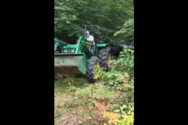 Game Warden Pulls Strange And Illegal Thing Out Of The Maine Woods [VIDEO]