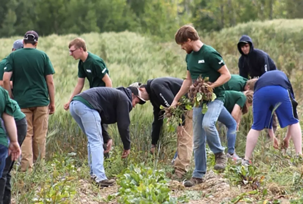 NMCC Students Volunteer and Connect to the Community