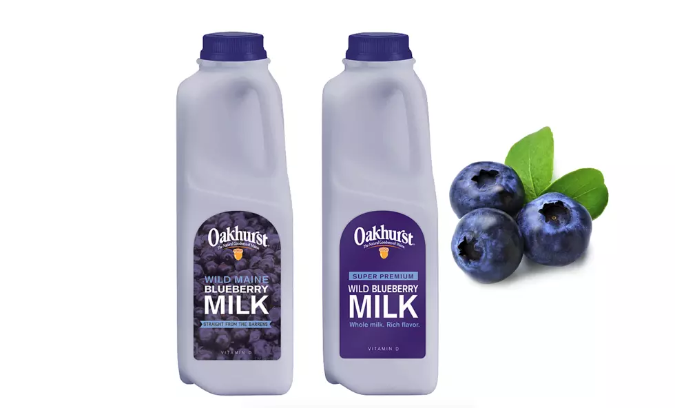 Will You Try Oakhurst&#8217;s New Wild Maine Blueberry Milk? It&#8217;s Almost Here!