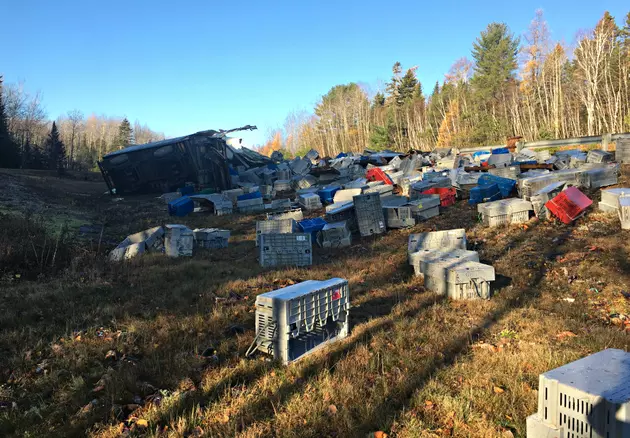Lobsters Stolen From New Brunswick Crash Site May be Contaminated
