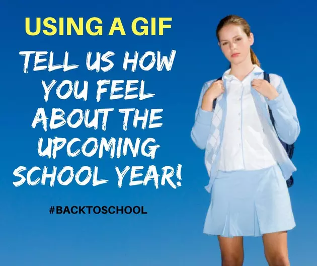 Use A GIF And Share How You Feel About This School Year In The County