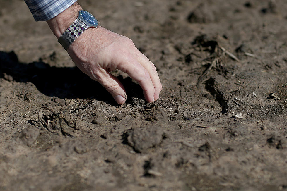 July Rain Brought Relief from Drought in Parts of Maine