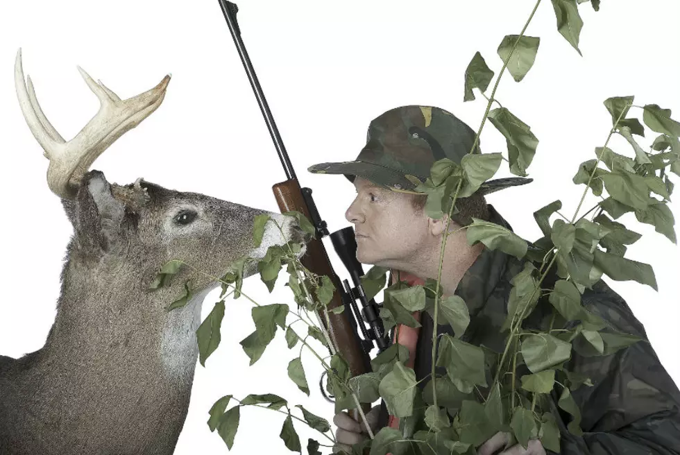 Maine Deer Harvest Sets New High Since 2002