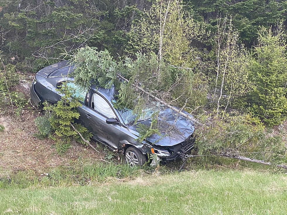 Two Injured in Crashes Involving Moose in Southern Aroostook