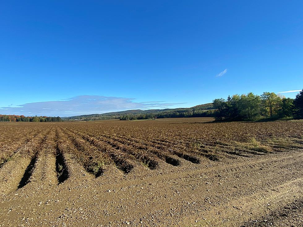 25 Images of 2021 Potato Harvest in Aroostook County