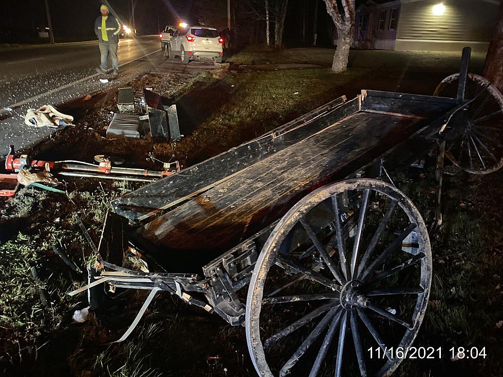 Vehicle Strikes Horse Drawn Buggy From Behind in Stacyville