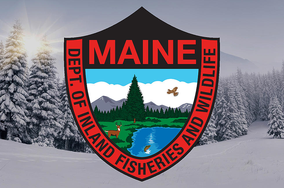 Two Young Girls Seriously Injured in Snowmobile Crash in New Portland, Maine