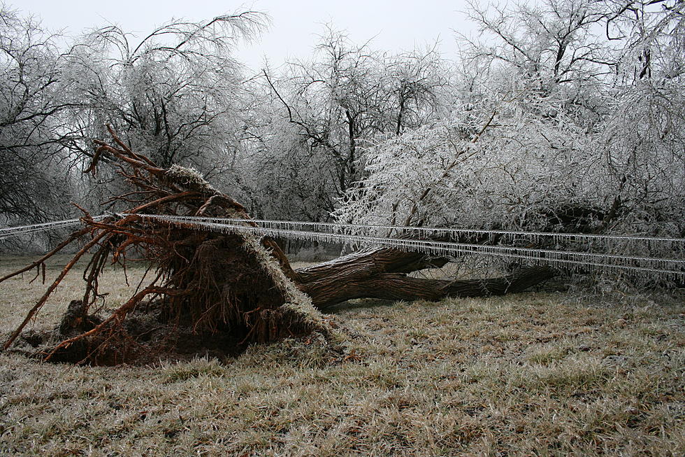 High Winds Leave Tens of Thousands Without Power Across Maine