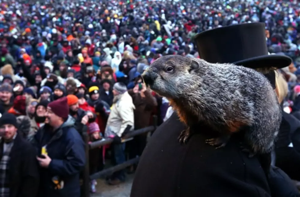Groundhog Predicts Weather And Game Winner