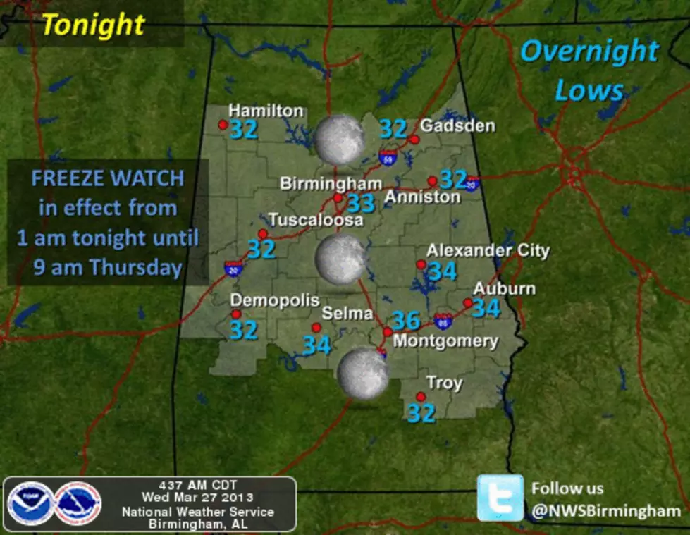 Freeze Warning in Effect Tonight and Thursday Morning
