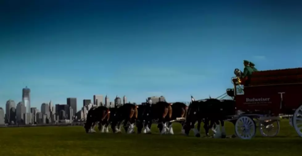 Watch Emotional 9/11 Budweiser Tribute Commercial Featuring Clydesdale Horses
