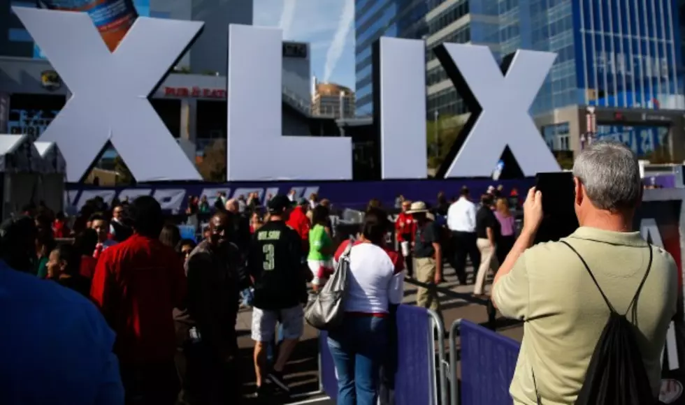 Watch Animals Predict the Winner of Super Bowl XLIX