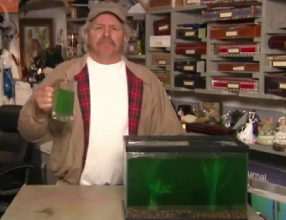 Watch Guy Give Crazy Money-Saving Tips for St. Patrick’s Day