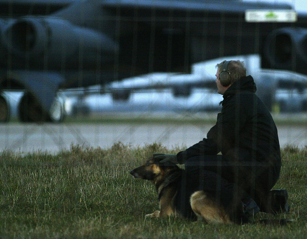 Kidd Kraddick Morning Show Offers Help for Military Comfort Dog Organization