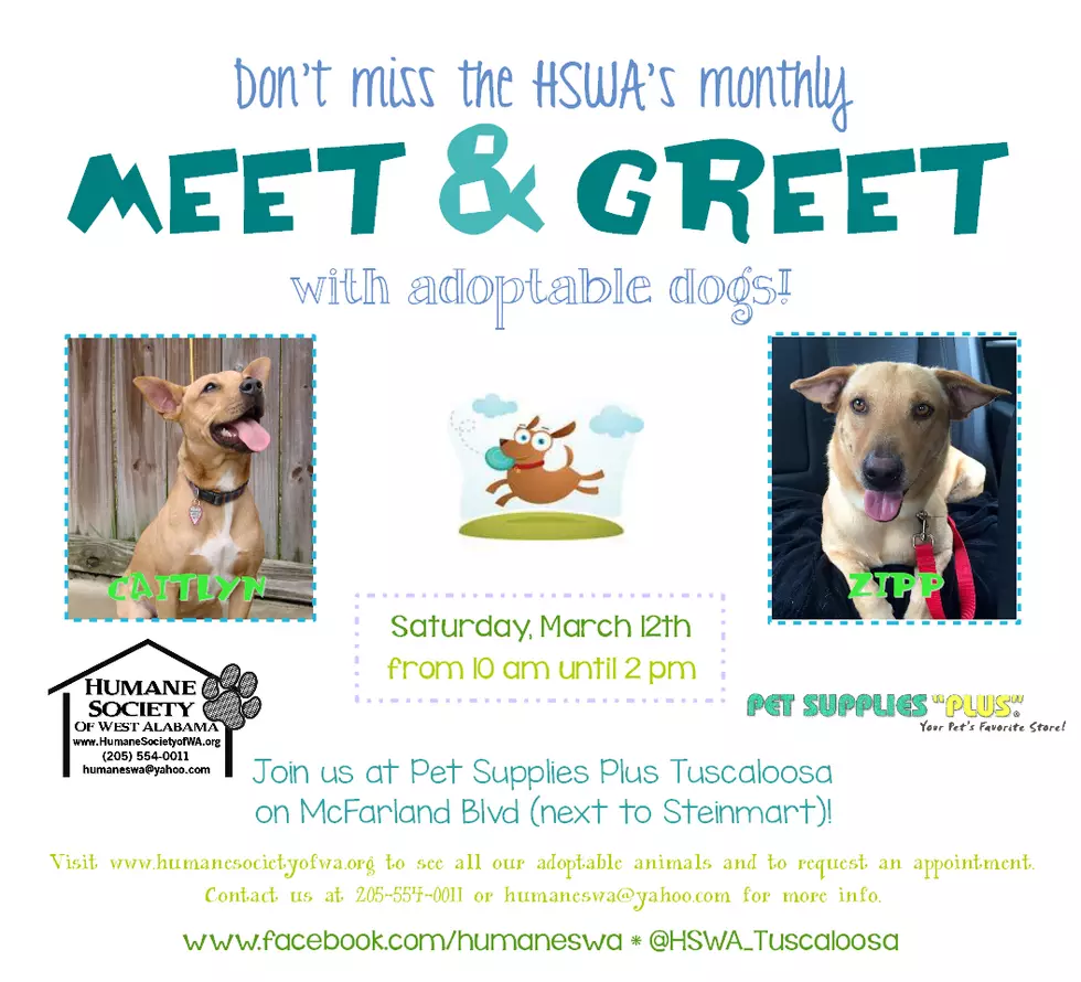 Meet Dogs Available for Adoption at the Humane Society&#8217;s March Pet Meet &#038; Greet