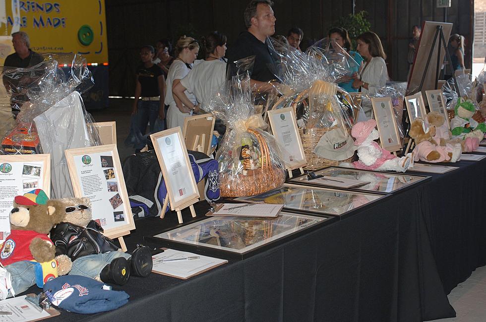 Lots of Stuff to Be Featured at the 6th Annual Hush Puppy Silent Auction in Tuscaloosa