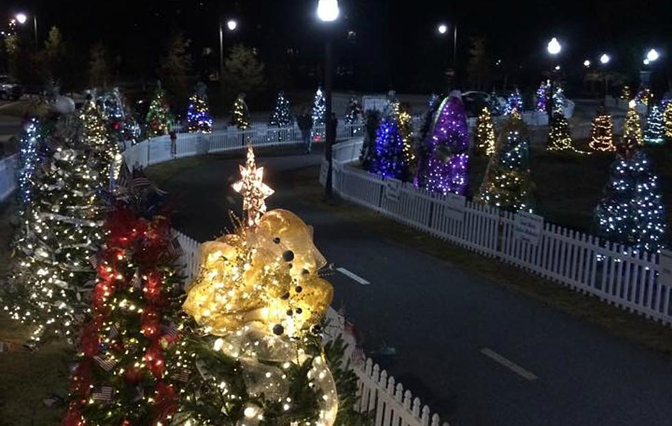 The T-Town Tinsel Trail is Now Open [GALLERY]